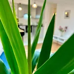 Apartamento Cozy Old-town At Kazimierz +ac, Kitchen And Netflix
