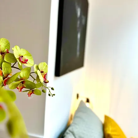 Cozy Old-town At Kazimierz +ac, Kitchen&netflix Apartment
