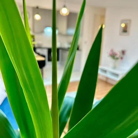 Apartment Cozy Old-town At Kazimierz +ac, Kitchen&netflix